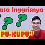 Kupu Kupu Musim Semi Topic Indonesia Bahasa Indonesia Nya Apa