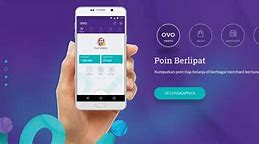 Ovo Points Adalah